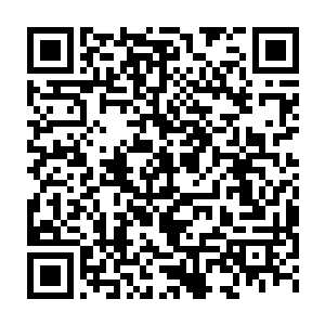 阿比安大师似乎想要用这些变异过的黄金独角仙炼制什么药物……二维码生成