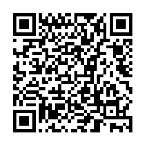 陈小练也的确从妙嫣这里得知了一些珍贵的信息和情报二维码生成