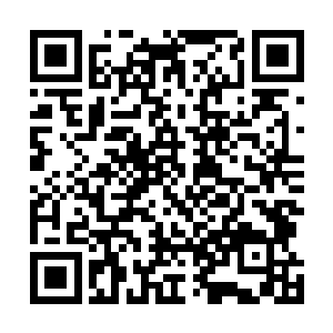 随即一条白色巨龙便直接从秦方的身体中咆哮着钻了出来二维码生成