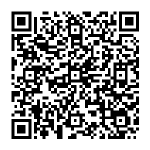 随即就感觉到小萌的体温似乎也不知道在什么时候已经下降到了一个安全的范围内二维码生成