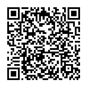 难道就没有人跟我一样注意到其实王世子这家伙的声音其实还是不错的二维码生成