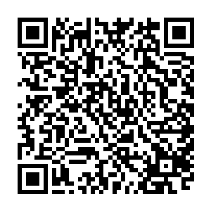 雷欢喜可怎么也没有想到自己居然能够在这里见到红珊瑚资本的幕后老板二维码生成