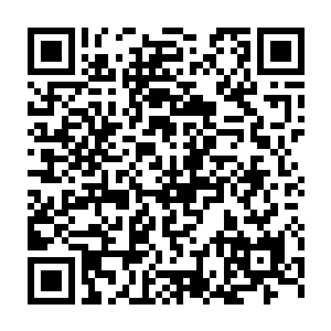 韩风可不想因为动用了这股力量而受到禁古之界意志的封印和摧毁二维码生成