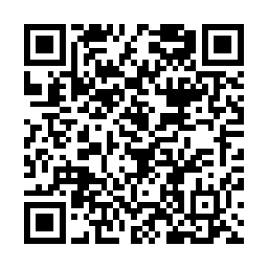 顺手从后腰半拉开的医疗包里拽出两个qc凝血包扔在地上二维码生成