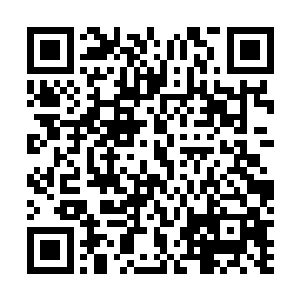 领着一帮参谋仔细的反复的推演战斗中可能会出现的意外二维码生成