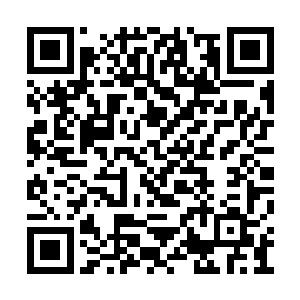 飞翔的能力能够让我避开所有的圣安东里奥城市二维码生成