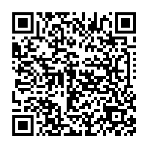 马马虎虎吧……维持……对付维持……我是真想盖个龙宫来着……二维码生成