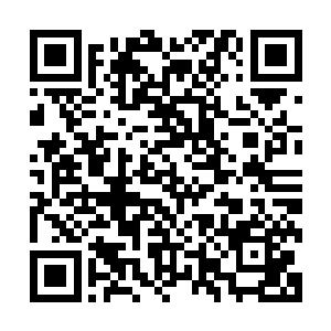 骆铭东几人立刻带领自己的手下向地面分布的地洞展开了搜寻二维码生成