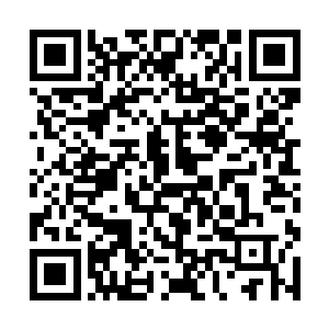 高扬越得在叶莲娜勉强表现出一副风轻云淡的样子来二维码生成