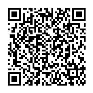 黛玻菈想到了那天晚上荣光在公园里一圈接着一圈奔跑不休的身影二维码生成