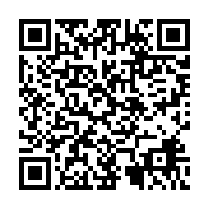 a国一些原本已经移民出去的富豪们也纷纷回到自己的祖国二维码生成