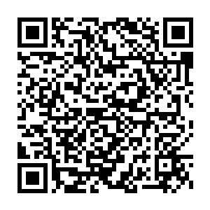 ac米兰的大巴车也刚刚在球迷们的尖叫声和按动相机快门的声音中二维码生成