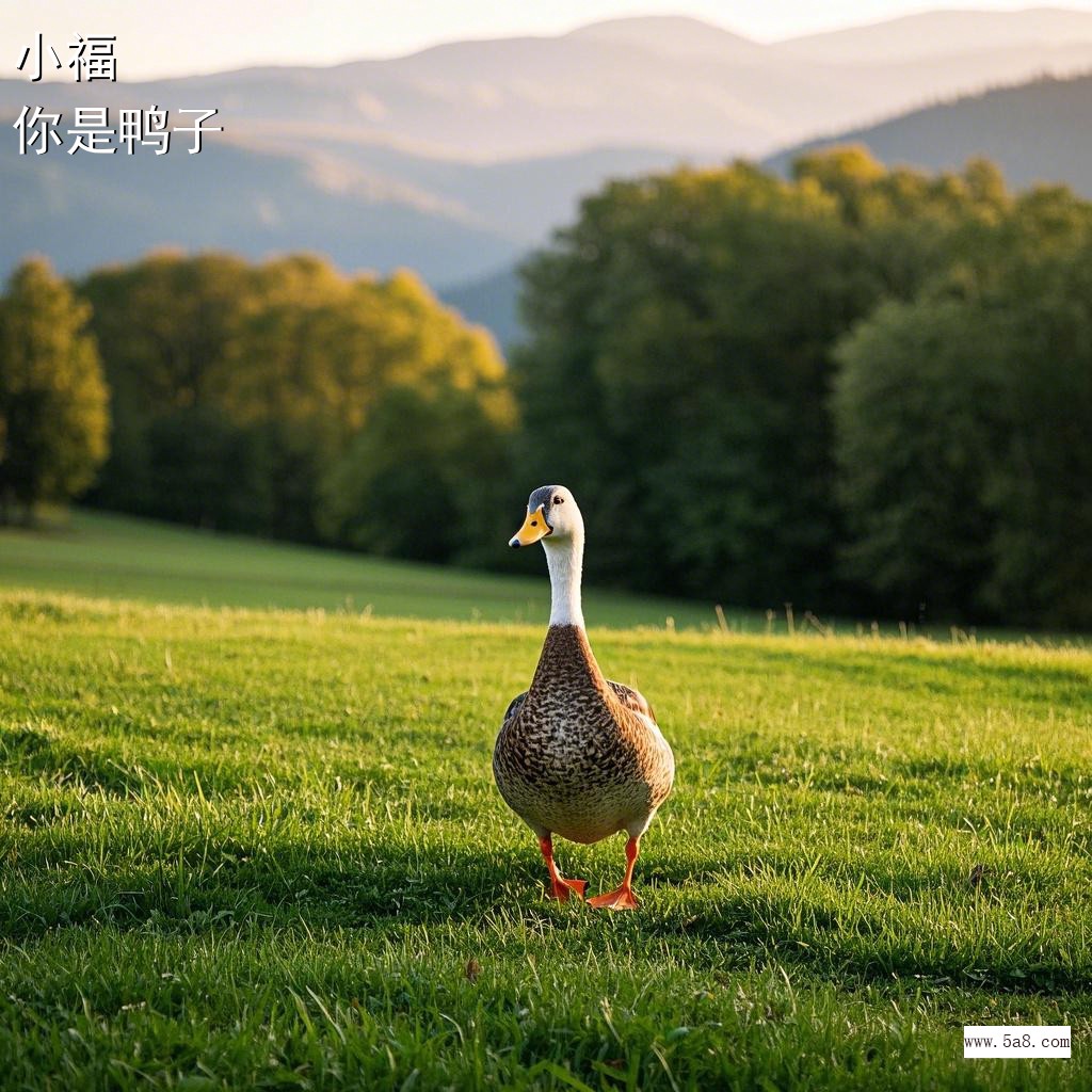 你是鸭子小福搞笑图片