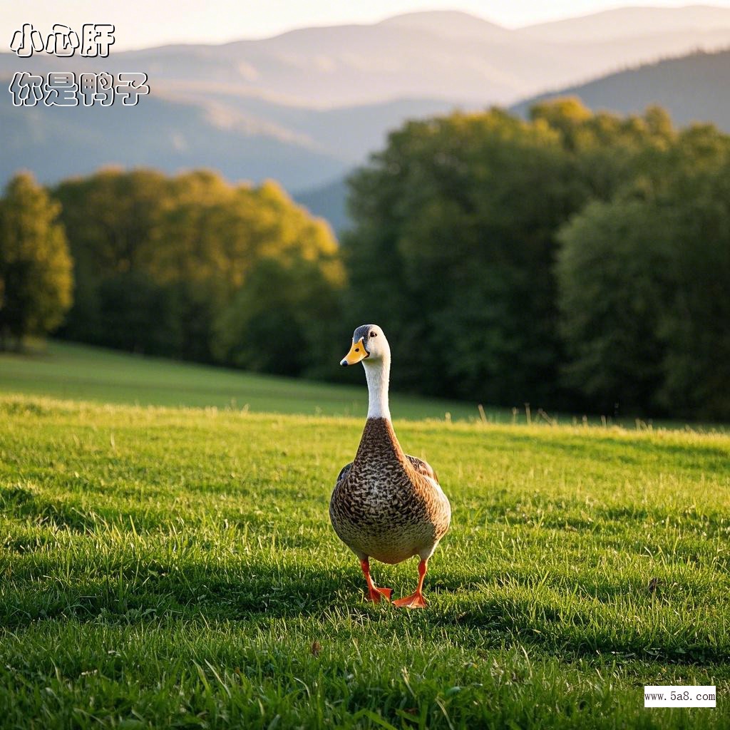 你是鸭子小心肝搞笑图片