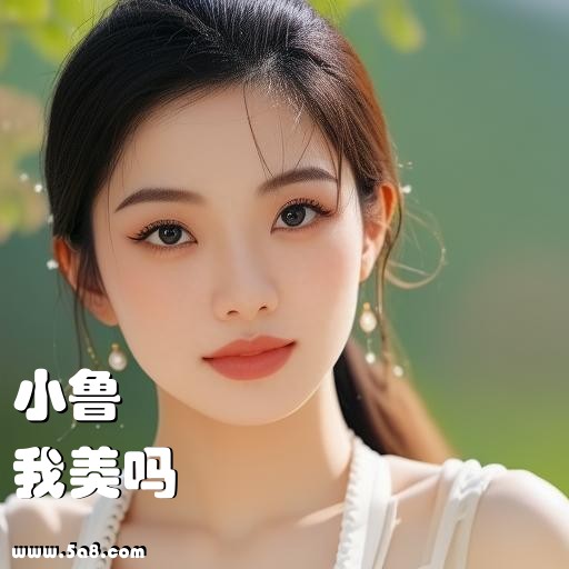 我美吗小鲁搞笑图片