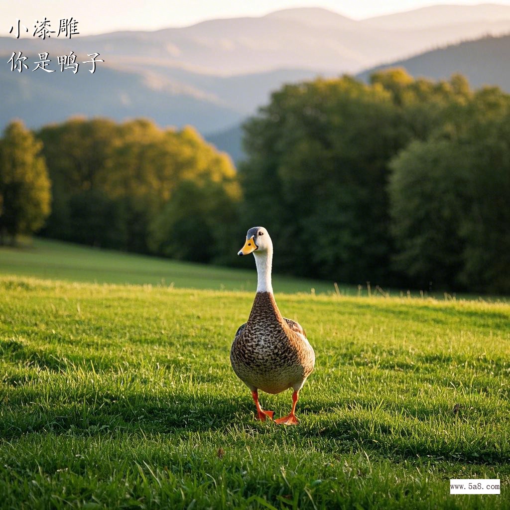 你是鸭子小漆雕搞笑图片